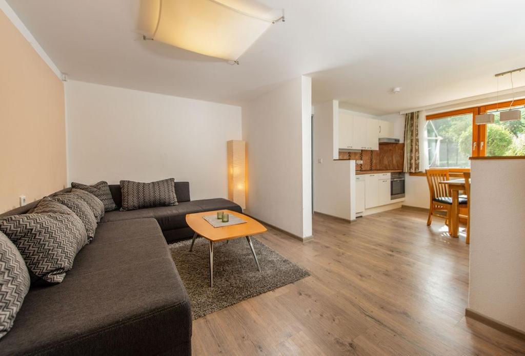 Appartements-Pension Lindenheim Schladming Eksteriør billede